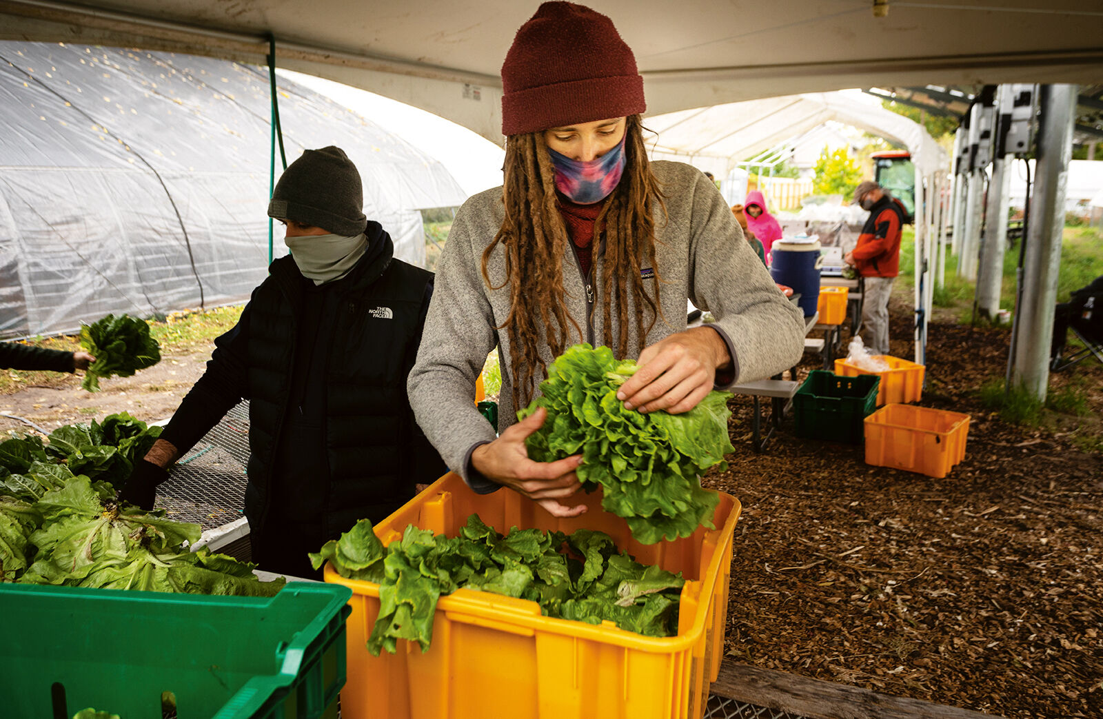 Binghamton Urban Farm